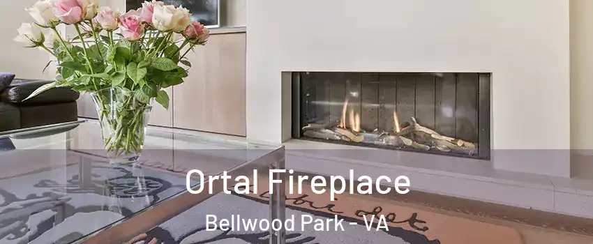 Ortal Fireplace Bellwood Park - VA