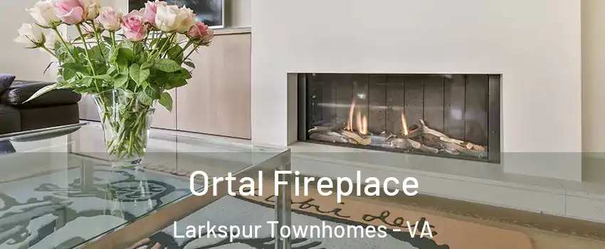 Ortal Fireplace Larkspur Townhomes - VA