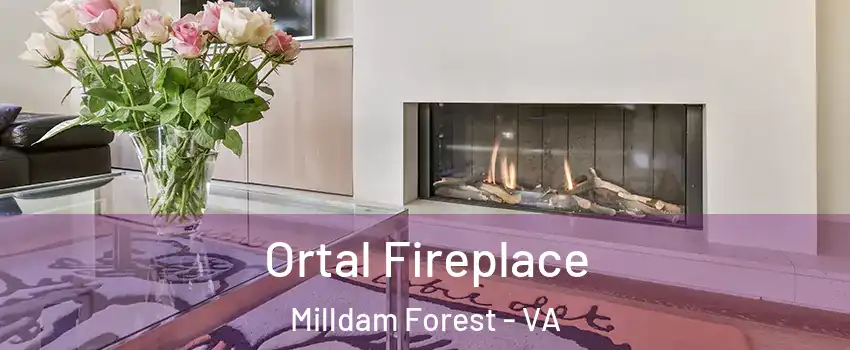 Ortal Fireplace Milldam Forest - VA