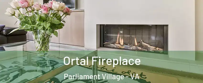 Ortal Fireplace Parliament Village - VA