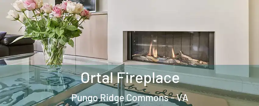 Ortal Fireplace Pungo Ridge Commons - VA