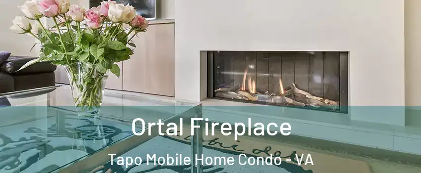 Ortal Fireplace Tapo Mobile Home Condo - VA