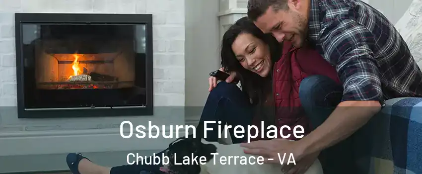 Osburn Fireplace Chubb Lake Terrace - VA