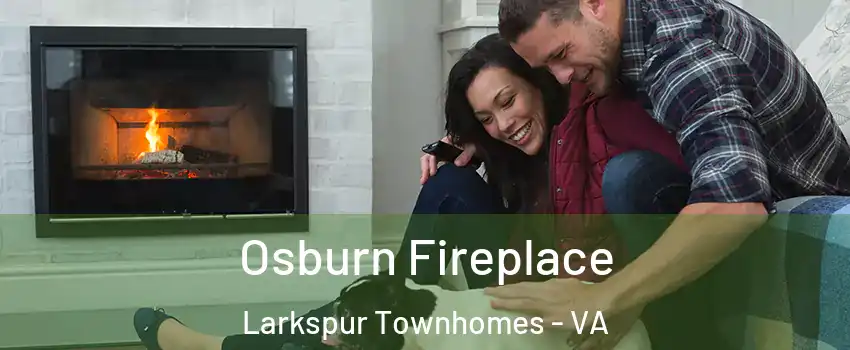 Osburn Fireplace Larkspur Townhomes - VA
