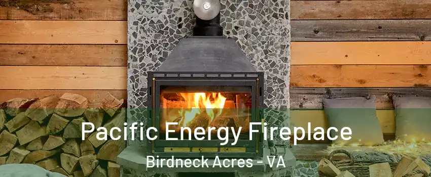 Pacific Energy Fireplace Birdneck Acres - VA