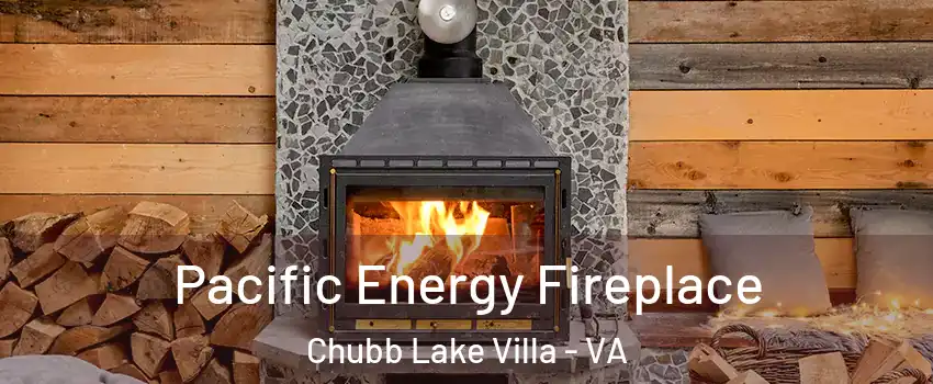 Pacific Energy Fireplace Chubb Lake Villa - VA