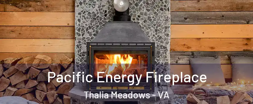Pacific Energy Fireplace Thalia Meadows - VA