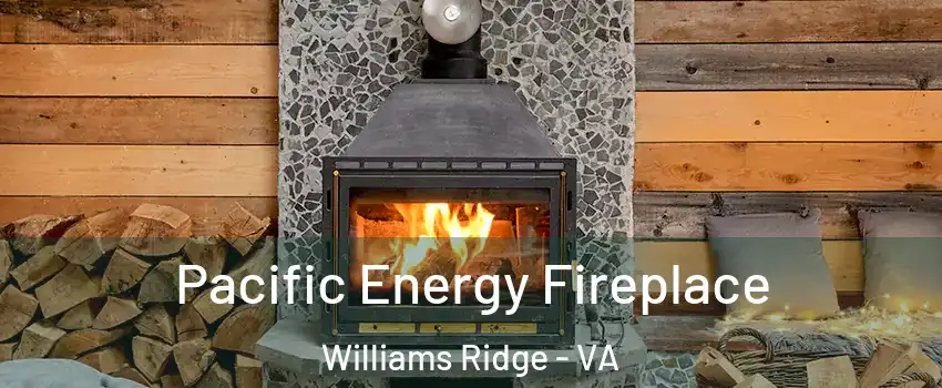 Pacific Energy Fireplace Williams Ridge - VA