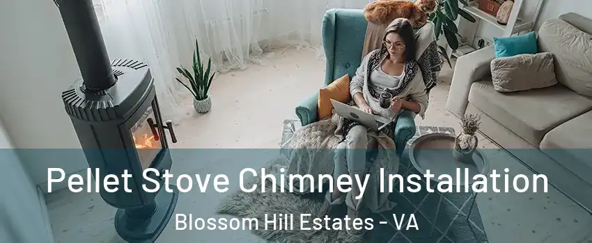 Pellet Stove Chimney Installation Blossom Hill Estates - VA