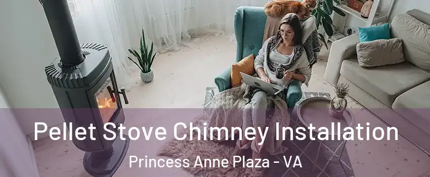 Pellet Stove Chimney Installation Princess Anne Plaza - VA