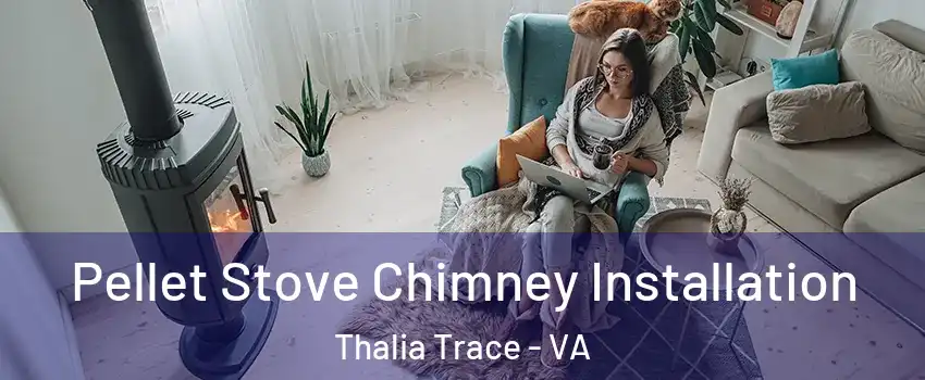 Pellet Stove Chimney Installation Thalia Trace - VA