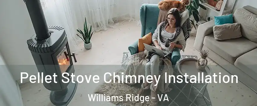 Pellet Stove Chimney Installation Williams Ridge - VA