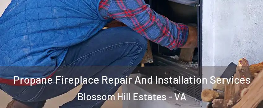 Propane Fireplace Repair And Installation Services Blossom Hill Estates - VA
