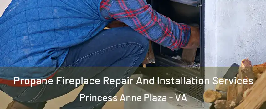 Propane Fireplace Repair And Installation Services Princess Anne Plaza - VA