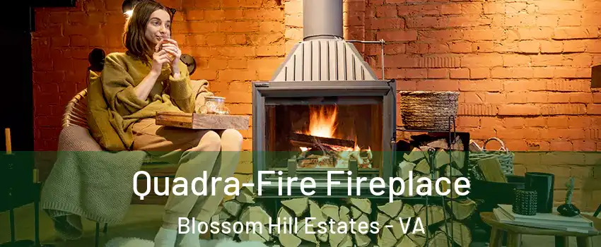 Quadra-Fire Fireplace Blossom Hill Estates - VA