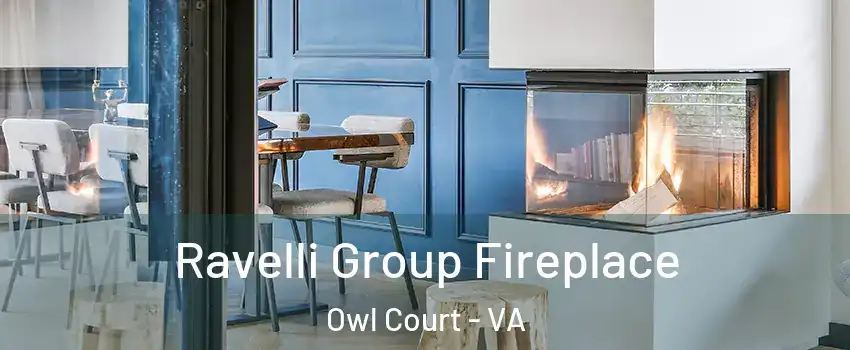 Ravelli Group Fireplace Owl Court - VA