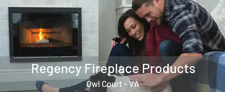 Regency Fireplace Products Owl Court - VA
