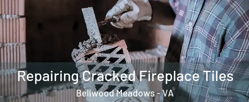 Repairing Cracked Fireplace Tiles Bellwood Meadows - VA