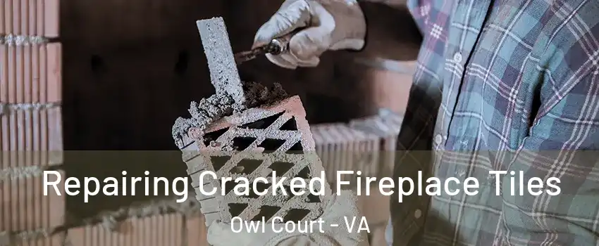 Repairing Cracked Fireplace Tiles Owl Court - VA