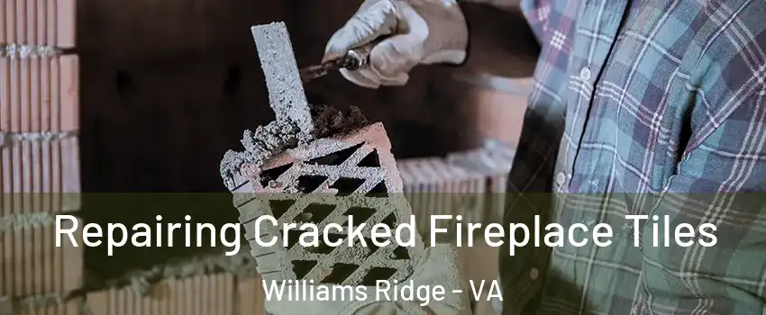 Repairing Cracked Fireplace Tiles Williams Ridge - VA