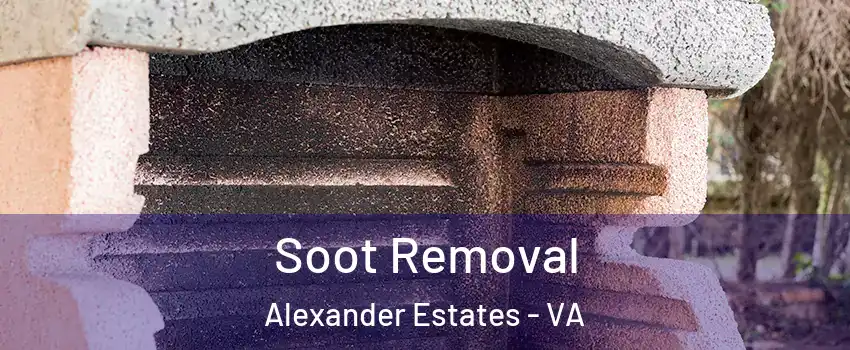 Soot Removal Alexander Estates - VA