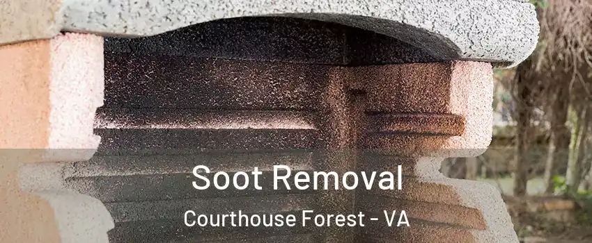 Soot Removal Courthouse Forest - VA
