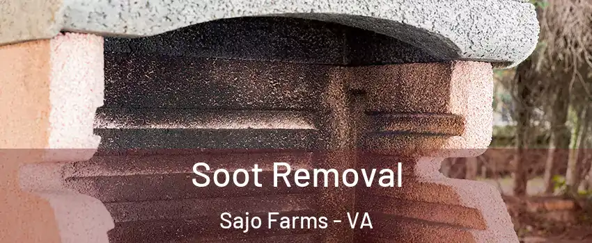 Soot Removal Sajo Farms - VA