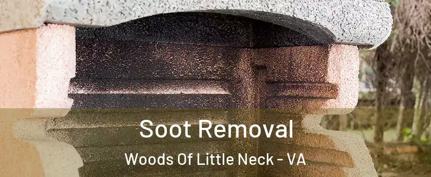 Soot Removal Woods Of Little Neck - VA