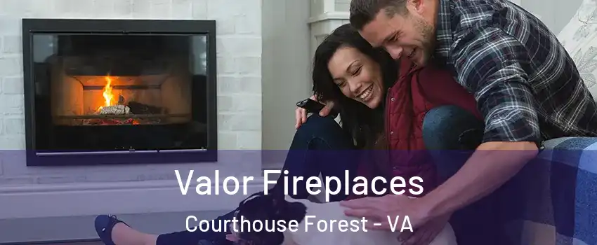Valor Fireplaces Courthouse Forest - VA