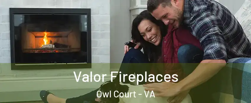 Valor Fireplaces Owl Court - VA