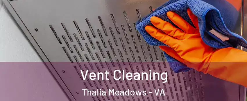 Vent Cleaning Thalia Meadows - VA