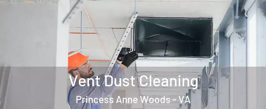 Vent Dust Cleaning Princess Anne Woods - VA