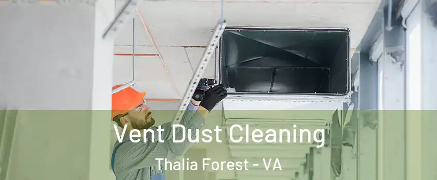 Vent Dust Cleaning Thalia Forest - VA