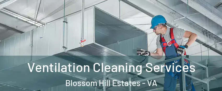 Ventilation Cleaning Services Blossom Hill Estates - VA