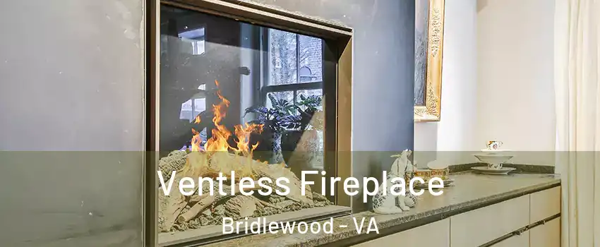 Ventless Fireplace Bridlewood - VA
