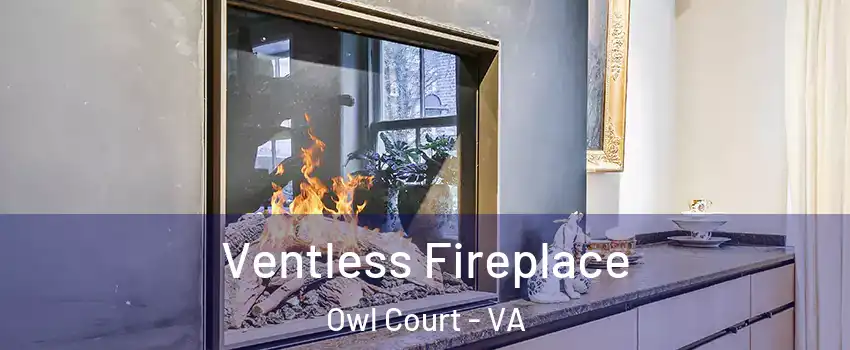 Ventless Fireplace Owl Court - VA