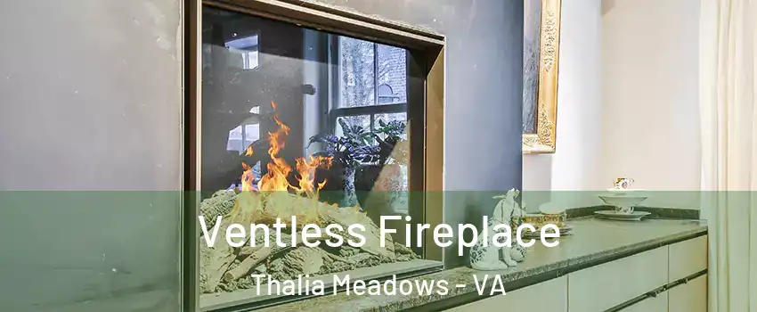 Ventless Fireplace Thalia Meadows - VA