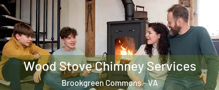 Wood Stove Chimney Services Brookgreen Commons - VA