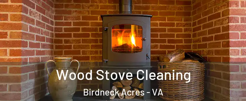 Wood Stove Cleaning Birdneck Acres - VA