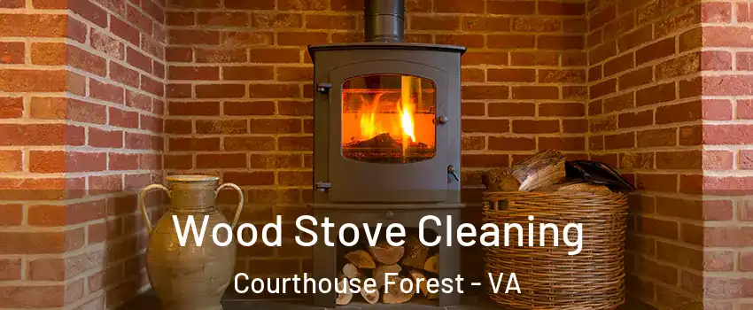Wood Stove Cleaning Courthouse Forest - VA