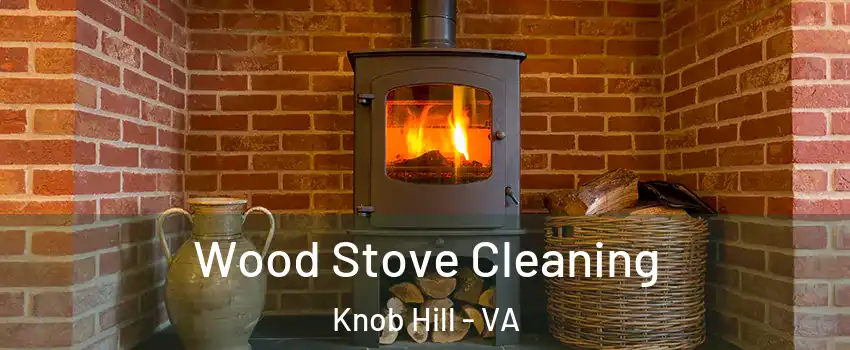 Wood Stove Cleaning Knob Hill - VA