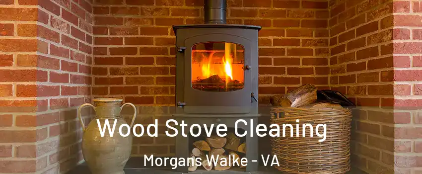 Wood Stove Cleaning Morgans Walke - VA