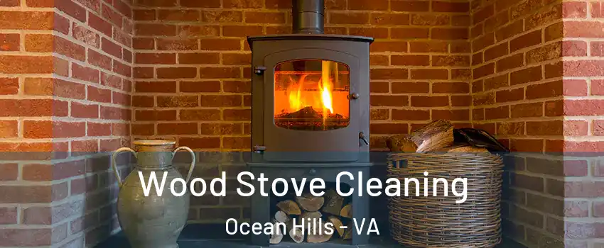 Wood Stove Cleaning Ocean Hills - VA