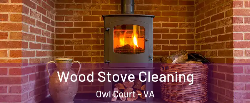 Wood Stove Cleaning Owl Court - VA