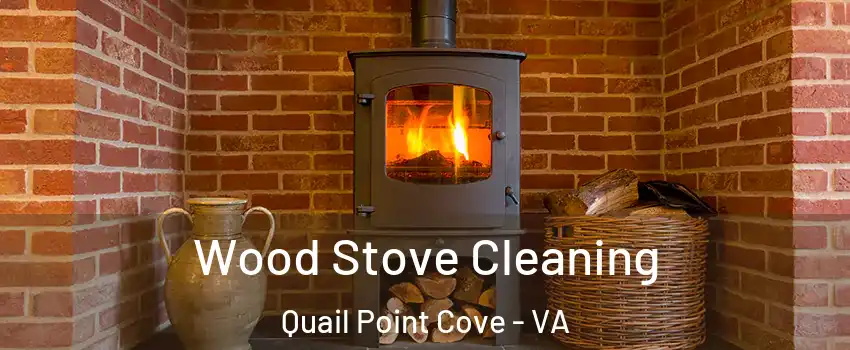 Wood Stove Cleaning Quail Point Cove - VA