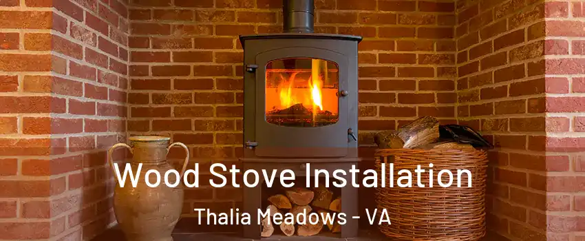 Wood Stove Installation Thalia Meadows - VA
