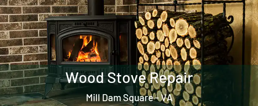 Wood Stove Repair Mill Dam Square - VA