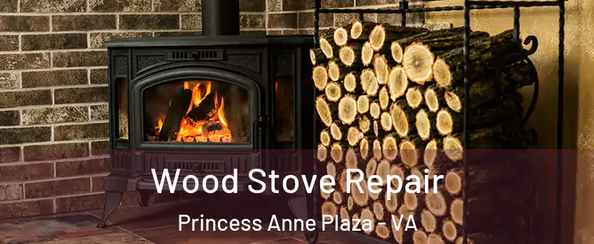 Wood Stove Repair Princess Anne Plaza - VA