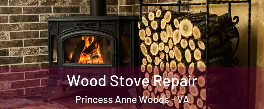 Wood Stove Repair Princess Anne Woods - VA