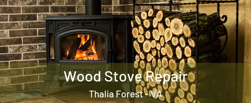 Wood Stove Repair Thalia Forest - VA